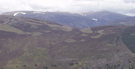 Moorland managed for grouse © Ailith Stewart